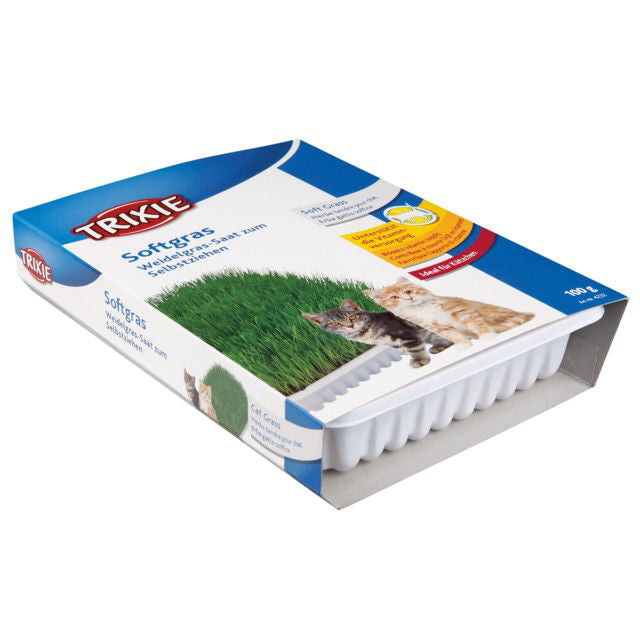 TRIXIE Žolė katėms, dubenėlyje apie 100 g (Miežiai)