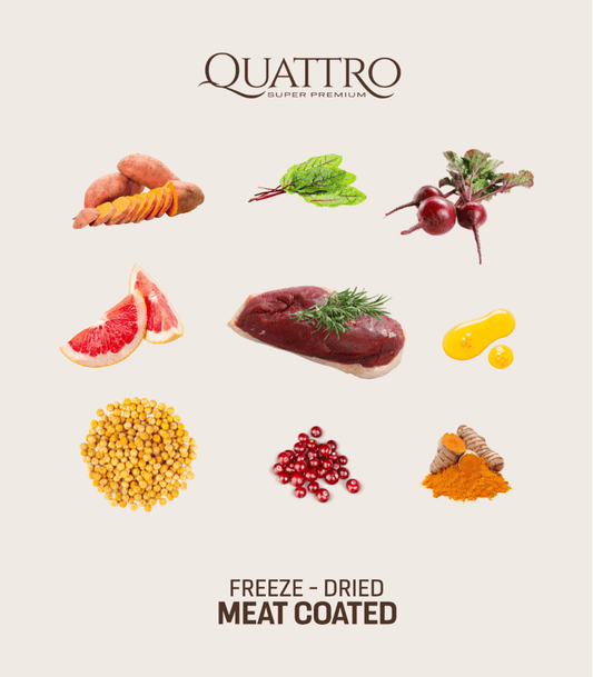 Quattro begrūdis suaugusiųjų didžiųjų veislių šunų pašaras su antiena