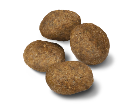 Advance Sensitive Lamb&Rise Sausas maistas vidutinių veislių šunims turintiems virškinimo ir odos problemų su ėriena ir ryžiais 3 kg