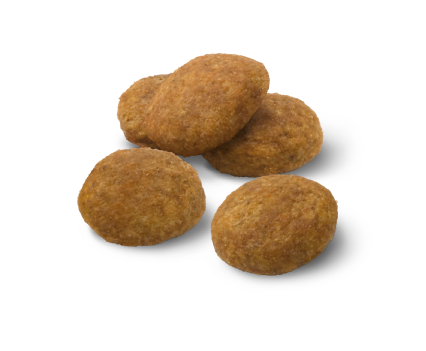 Advance Puppy Medium Sausas maistas vidutinių veislių šuniukams 12 kg