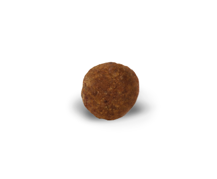 Advance Yorkshire Terrier Sausas maistas Jorkšyrų Terjerams 1.5 kg