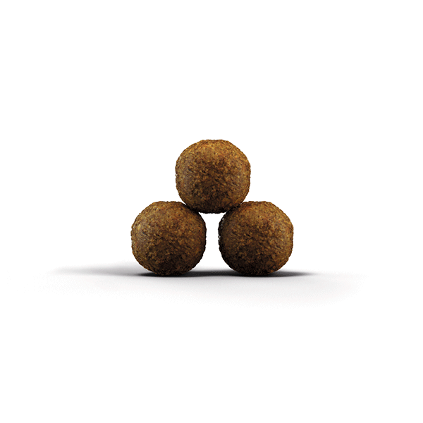 Josera Kitten sausas kačių maistas, 2 kg