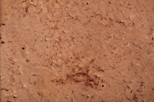 SPECIFIC FGW konservai senyvoms katėms 7 x 100 g