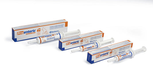 PRO-ENTERIC® ADVANCED pasta šunims