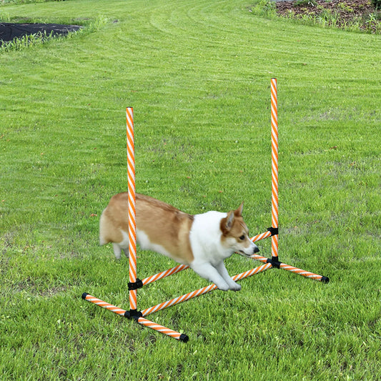 Agility rinkinys šunims, 6 vnt. Agility įrangos rinkinys su supynimo kartimis, švilpuku, šunų dresūros reikmenys su nešiojimo krepšiu, parkui, sodui, oranžinė