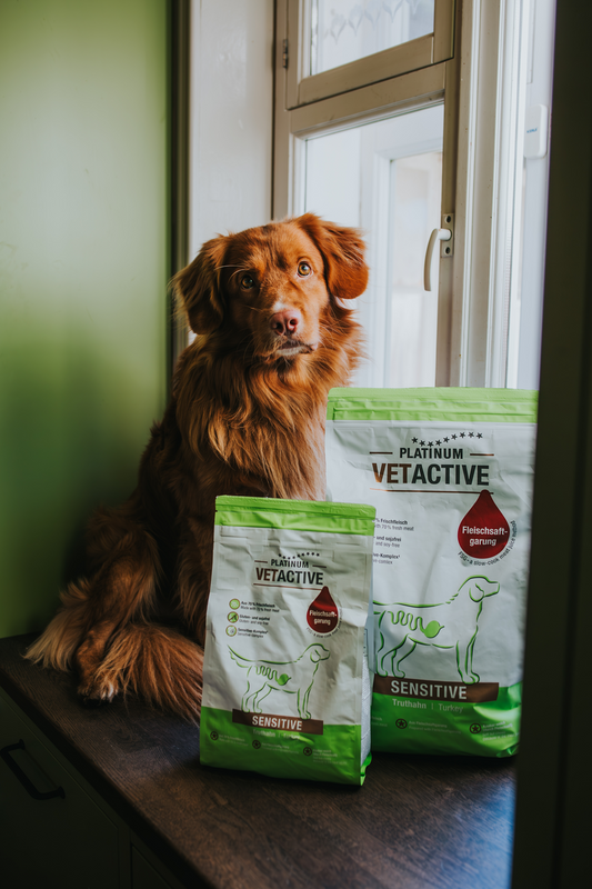 Platinum VetActive Sensitive pašaras jautriam virškinimo traktui šunims