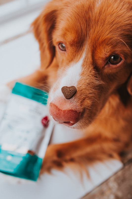 Platinum VetActive Light skanėstai 200 g