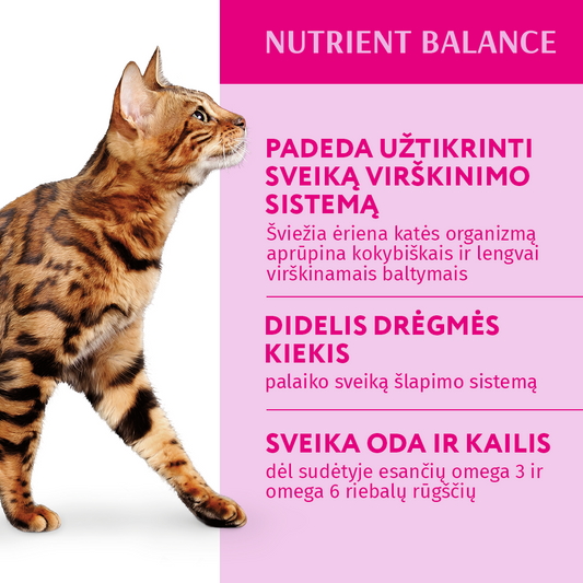 OPTIMEAL ™ konservuotas pašaras suaugusioms katėms su ėriena ir daržovėmis drebučiuose 12x0.085 kg privalumai