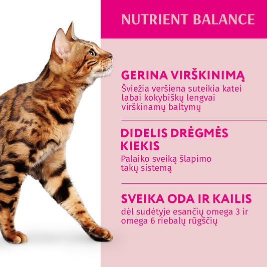 OPTIMEAL ™ konservuotas pašaras suaugusioms katėms su veršiena padaže 12x0.085 kg privalumai