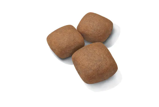 Royal Canin Dog Giant Junior visavertis pašaras milžiniškų veislių šuniukams granulės