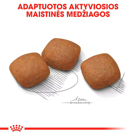 Royal Canin Dog Joint Care Maxi visavertis pašaras didelių veislių šunims granulės