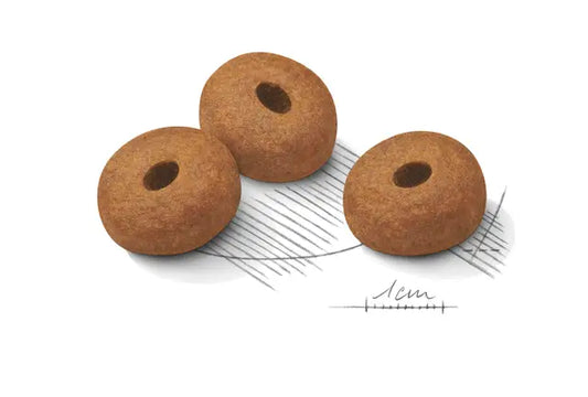 Royal Canin Dog Light Weight Care Maxi visavertis pašaras didelių veislių šunims granulės