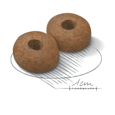 Royal Canin Dog Maxi Ageing pašaras stambių veislių šunims nuo 8 metų (26-44kg) grūdų išvaizda