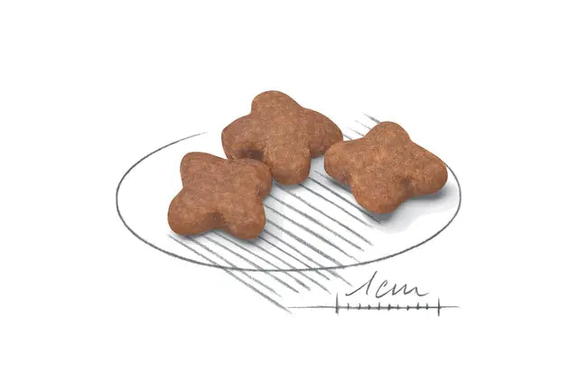 Royal Canin Dog Mini Ageing 12+ visavertis pašaras mažų veislių šunims nuo 12 metų išvaizda