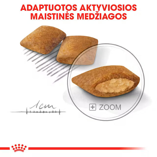 Royal Canin Exigent Mini visavertis pašaras mažų veislių šunims granulės