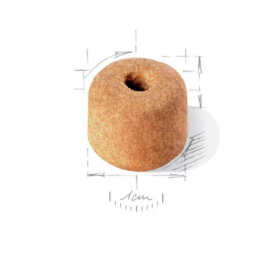 Royal Canin Labrador Retrievier Adult visavertis pašaras Labradoro retriveriams išvaizda