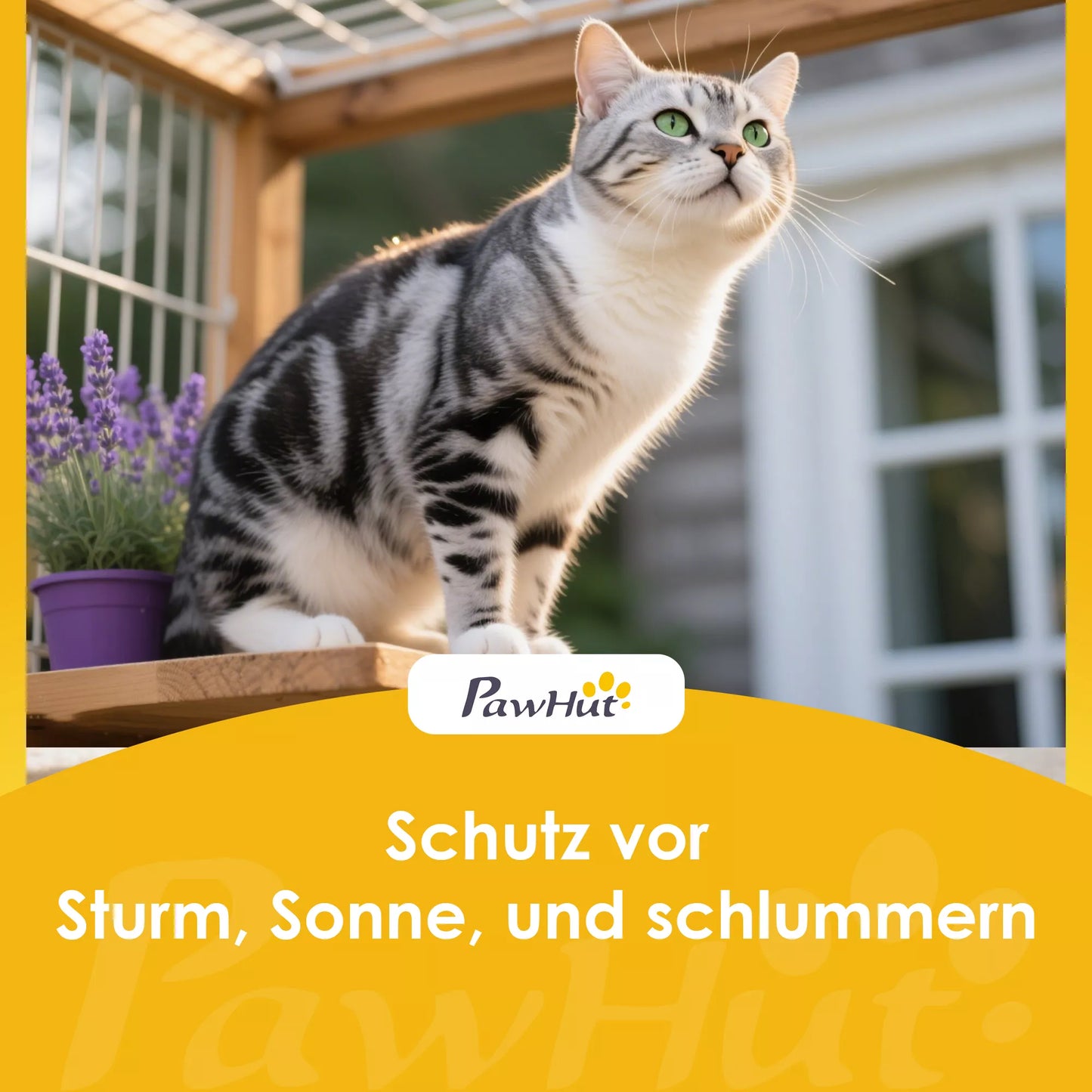 Outdoor cat house, outdoor shelter, waterproof, opening roof, fir wood, 80 x 93 x 95, gray