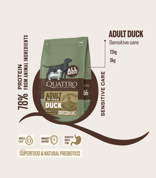 Quattro begrūdis pašaras visų veislių suaugusiems šunims su ėrienos monoproteinu