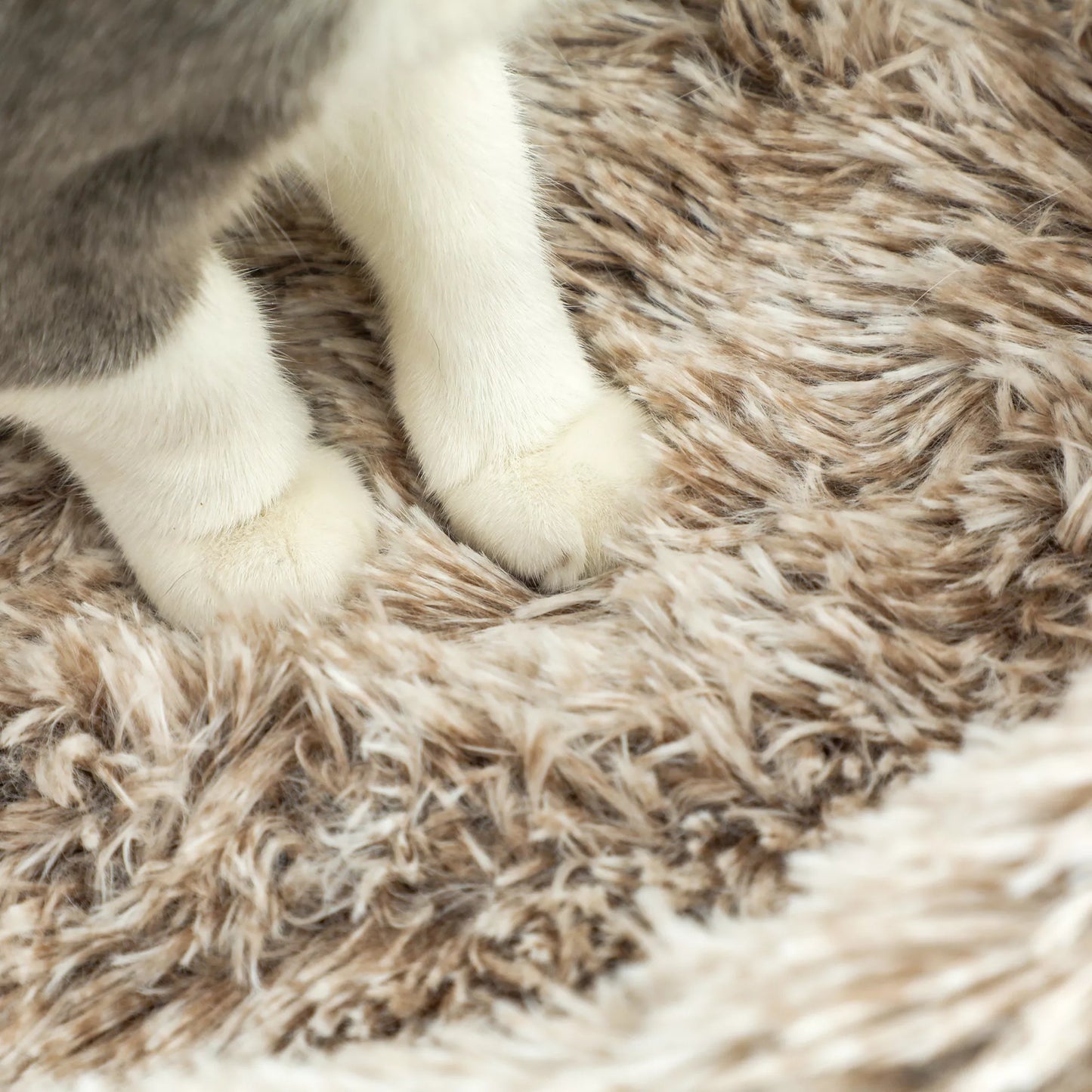 Kačių medis PawHut, 87 cm, kačių bokštelis su storu draskymo stulpeliu, pliušinė lova, skirtas naudoti patalpose, atlaiko iki 6 kg, rudas PawHut