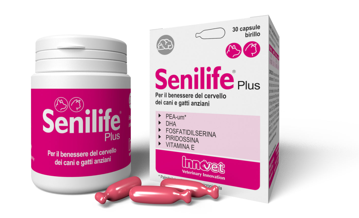 SENILIFE PLUS Papildas padedantis palaikyti tinkamą vyresnio amžiaus šunų ir kačių smegenų veiklą N30