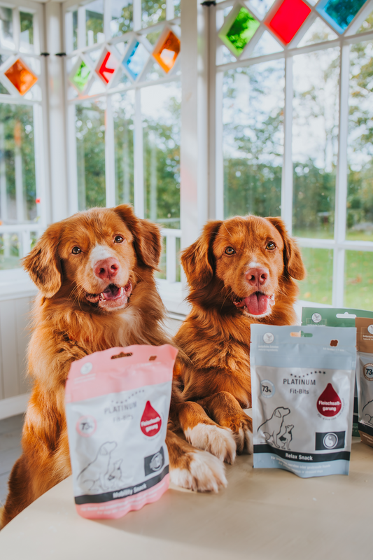 Platinum Fit-Bits Mobility - skanėstai šunims su vištiena 150 g