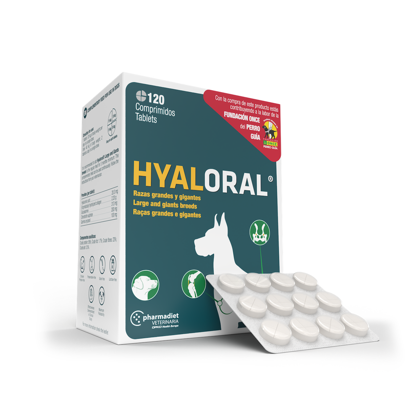 Papildai šunų sąnariams ir raumenims