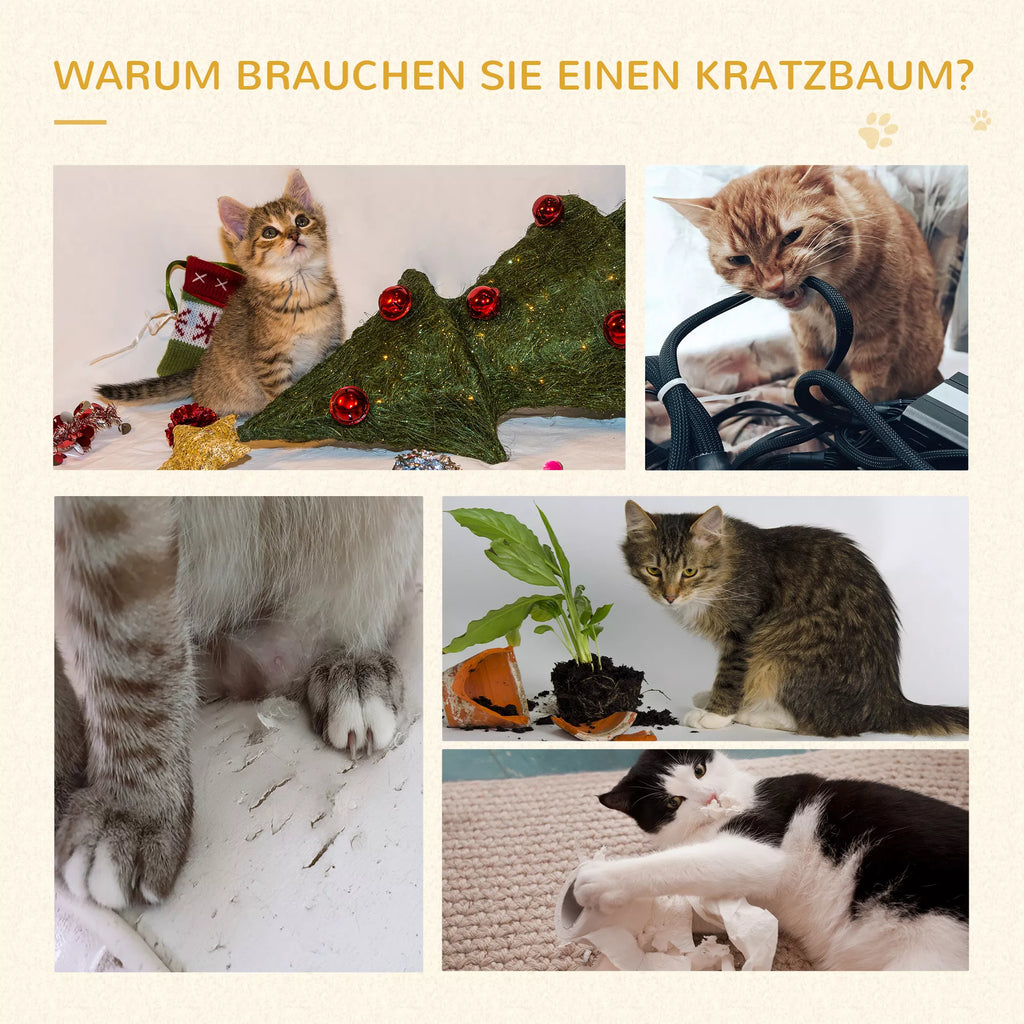 Kaķu kāpšanas un skrāpēšanas koks ar kāpnēm, 5 līmeņi, bēšs un pelēks, 48,5 x 48,5 x 100 cm (garums x platums x augstums)