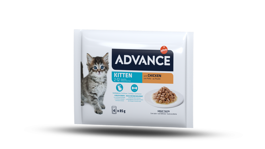 Advance Wet Kitten Chicken Flow Šlapias maistas jaunoms katėms su vištiena  4 x 85 g
