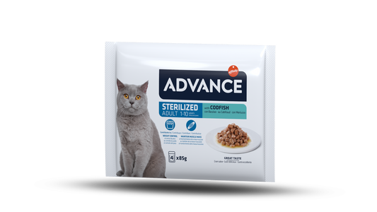 Advance Wet Adult Sensitive Salmon&Rice Šlapias maistas katėms turinčioms jautrų virškinimo traktą su lašiša ir ryžiais 3 kg
