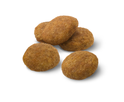 Advance Puppy Medium Sausas maistas vidutinių veislių šuniukams 3 kg