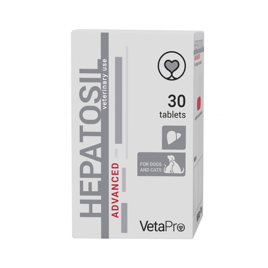 Hepatosil Advanced Papildai šunims ir katėms kepenų funkcijos palaikymui 250 mg N30