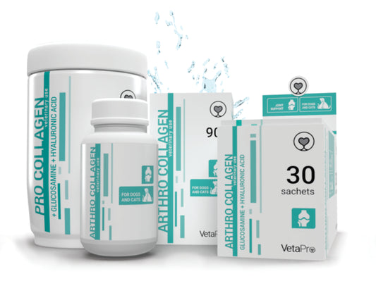 Arthro Collagen Papildai šunims ir katėms sąnariams apsaugoti 3g x 30