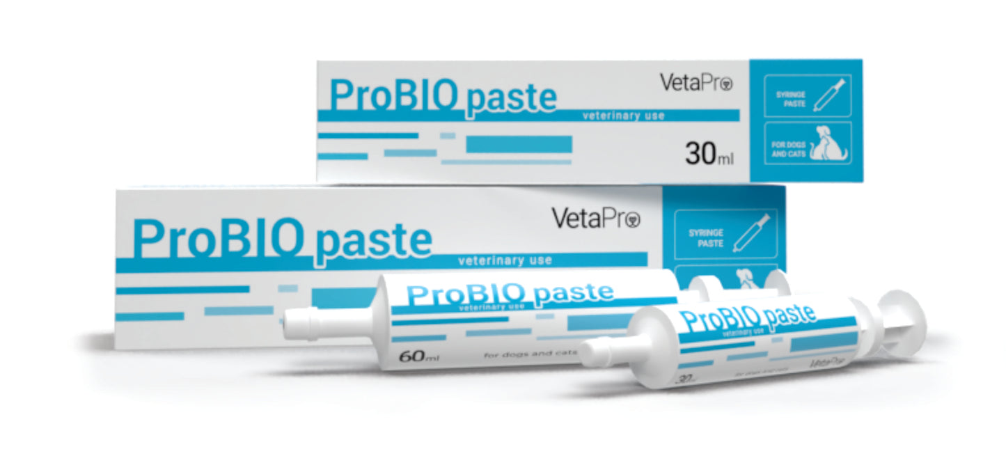 ProBio Paste Papildai šunims ir katėms virškinamojo trakto palaikymui