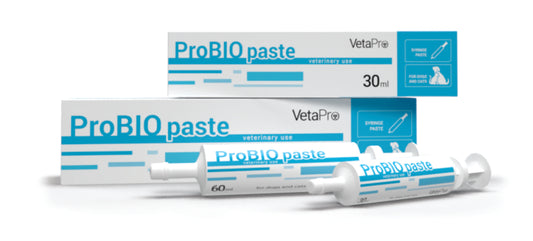 ProBio Paste Papildai šunims ir katėms virškinamojo trakto palaikymui