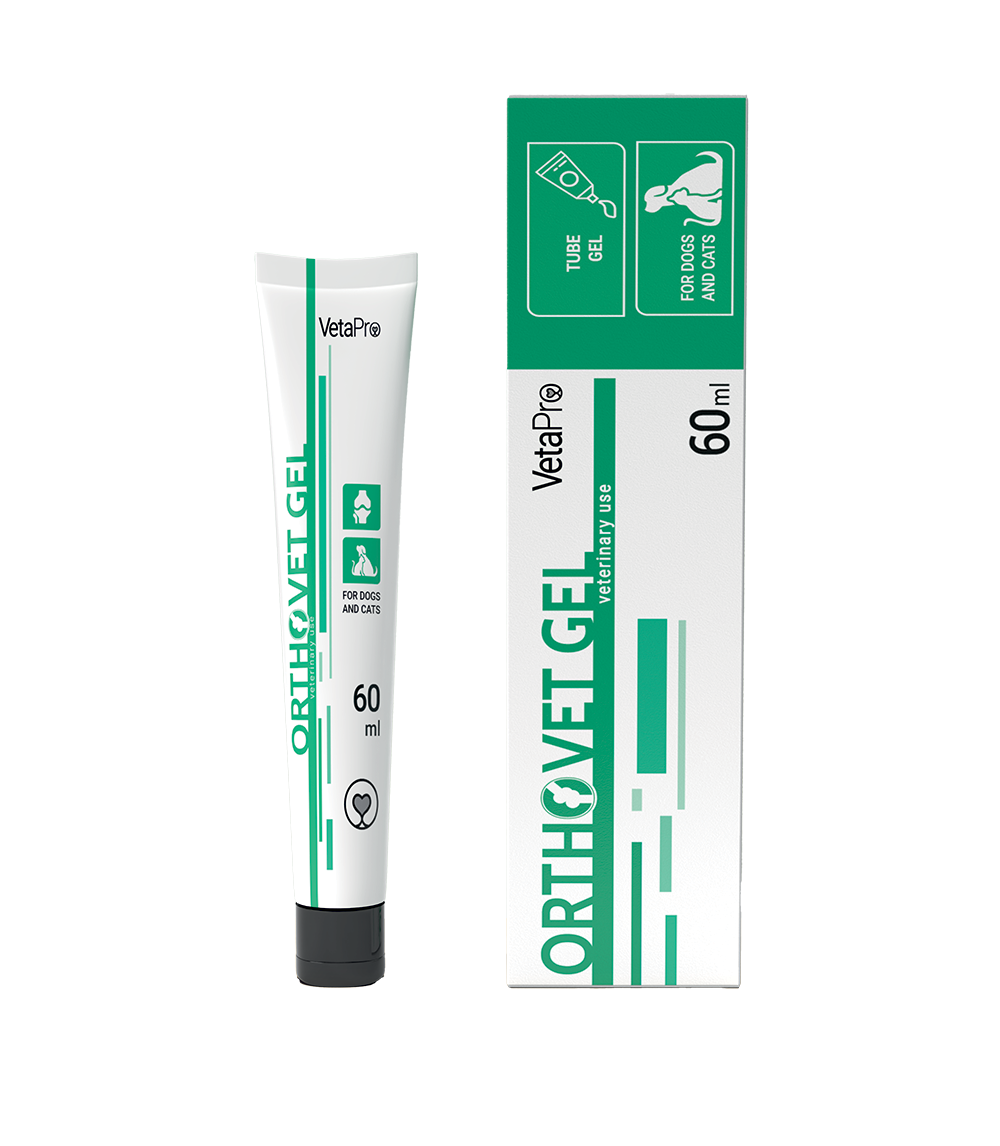 Orthovet Gel Vėsinantis gelis katėms ir šunims 60 ml