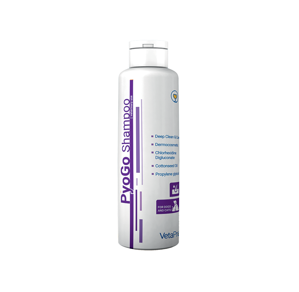 PyoGo Shampoo Šampūnas 250 ml