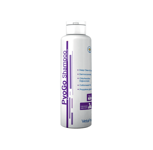 PyoGo Shampoo Šampūnas 250 ml