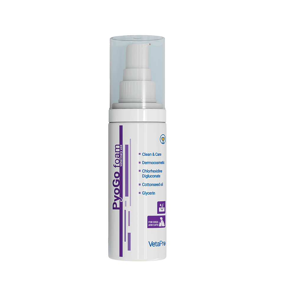 Pyogo Foam Sauso plovimo priemonė katėms ir šunims 150 ml