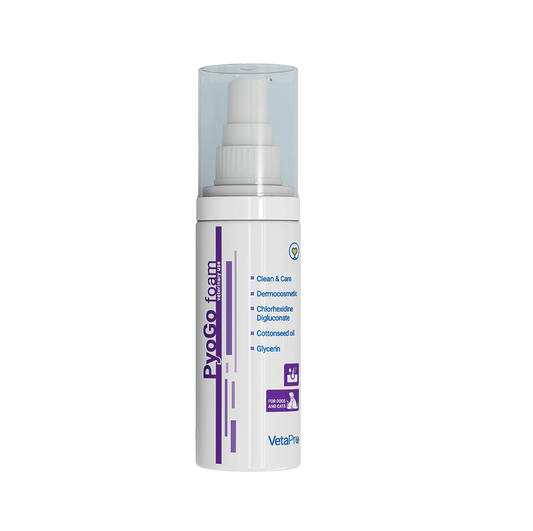 Pyogo Foam Sauso plovimo priemonė katėms ir šunims 150 ml