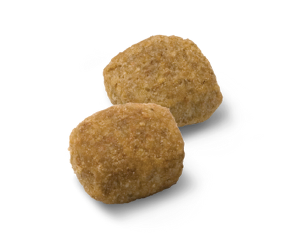 Advance Medium Light Sausas maistas vidutinių veislių šunims linkusiems priaugti svorio 12 kg