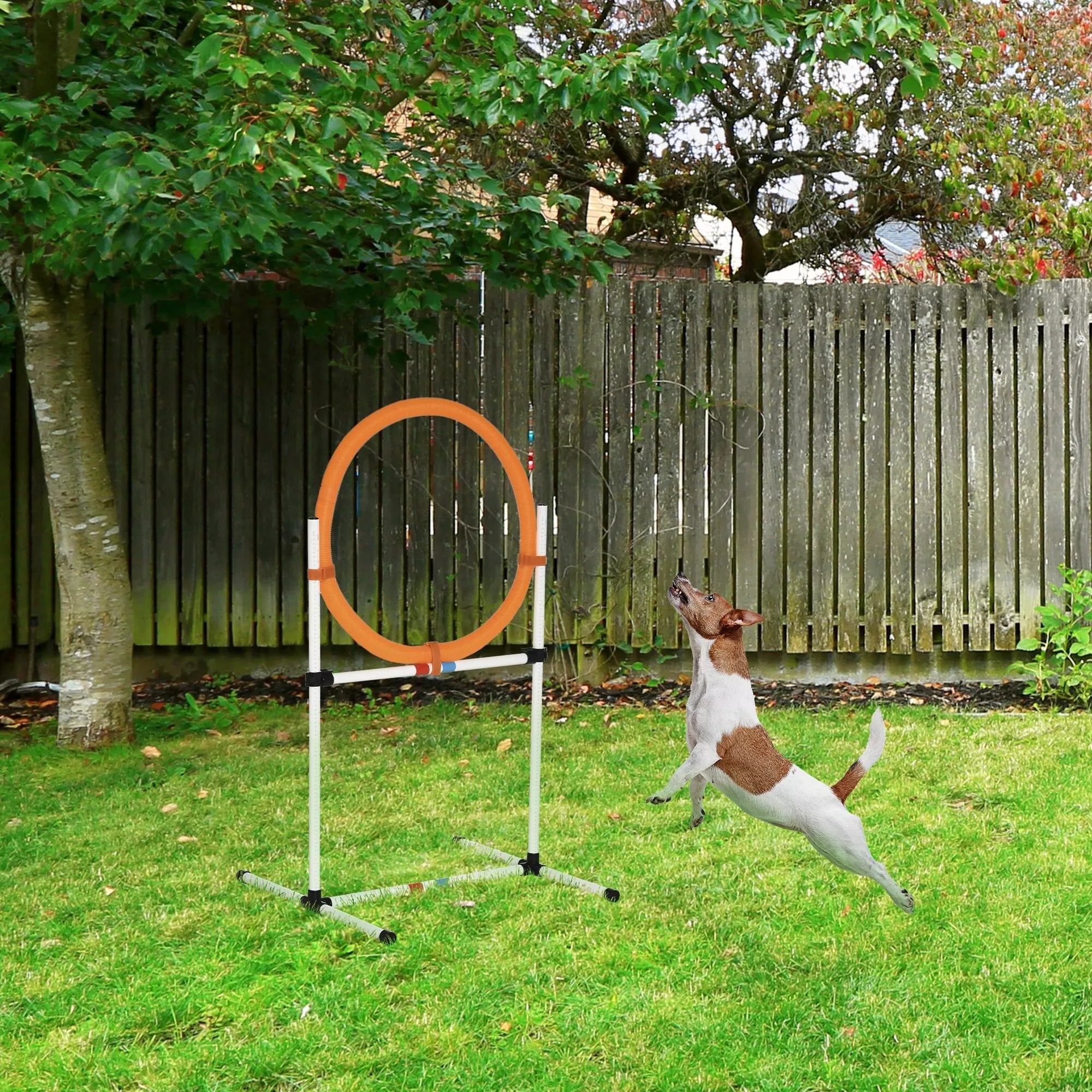 Šunų treniruočių rinkinys Šokinėjimo lankas augintinių agility treniruotėms, nešiojamas PE, balta + oranžinė, 74,5 x 66 x 91 cm