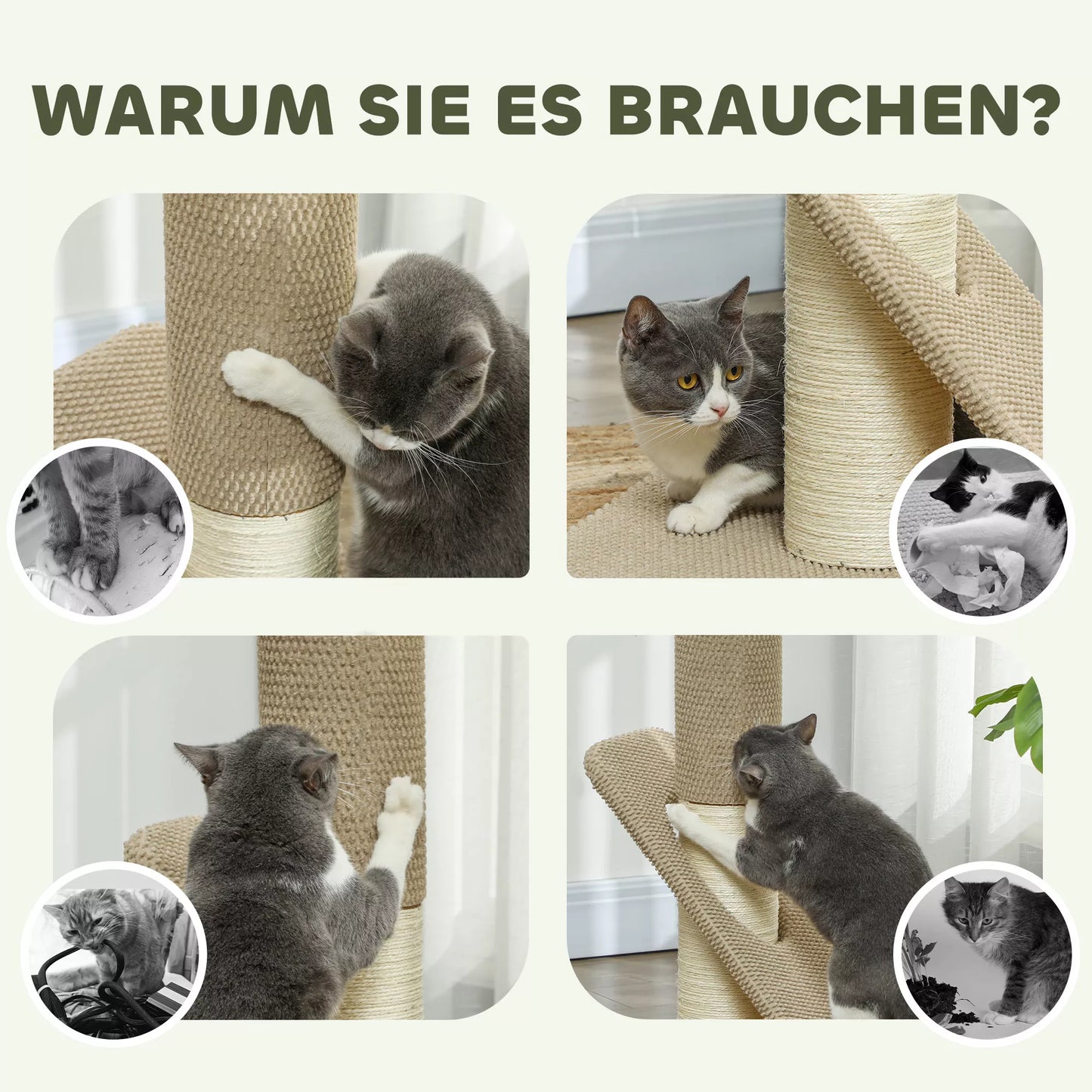 Kačių draskyklė, su pagalvėle, stulpeliu ir žaidimo kamuoliuku, kilimu ir sizaliu, 84 cm, šviesiai rudos spalvos