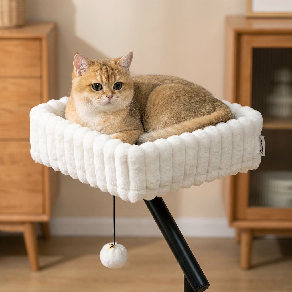 Katės guolis tvirtinamas prie stalo ar palangės, pasukamas 360°, su kabančiu kamuoliuku, katei iki 6 kg, baltas