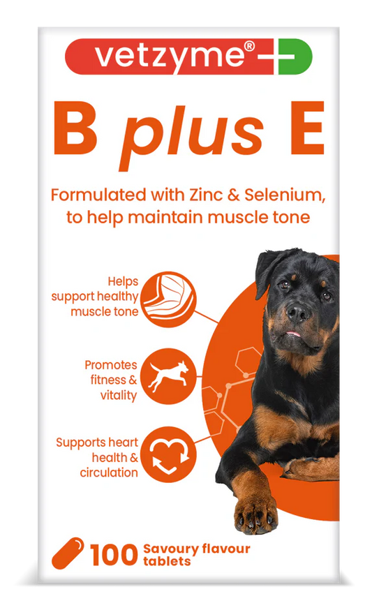 Vetzyme Papildas šunims B+E