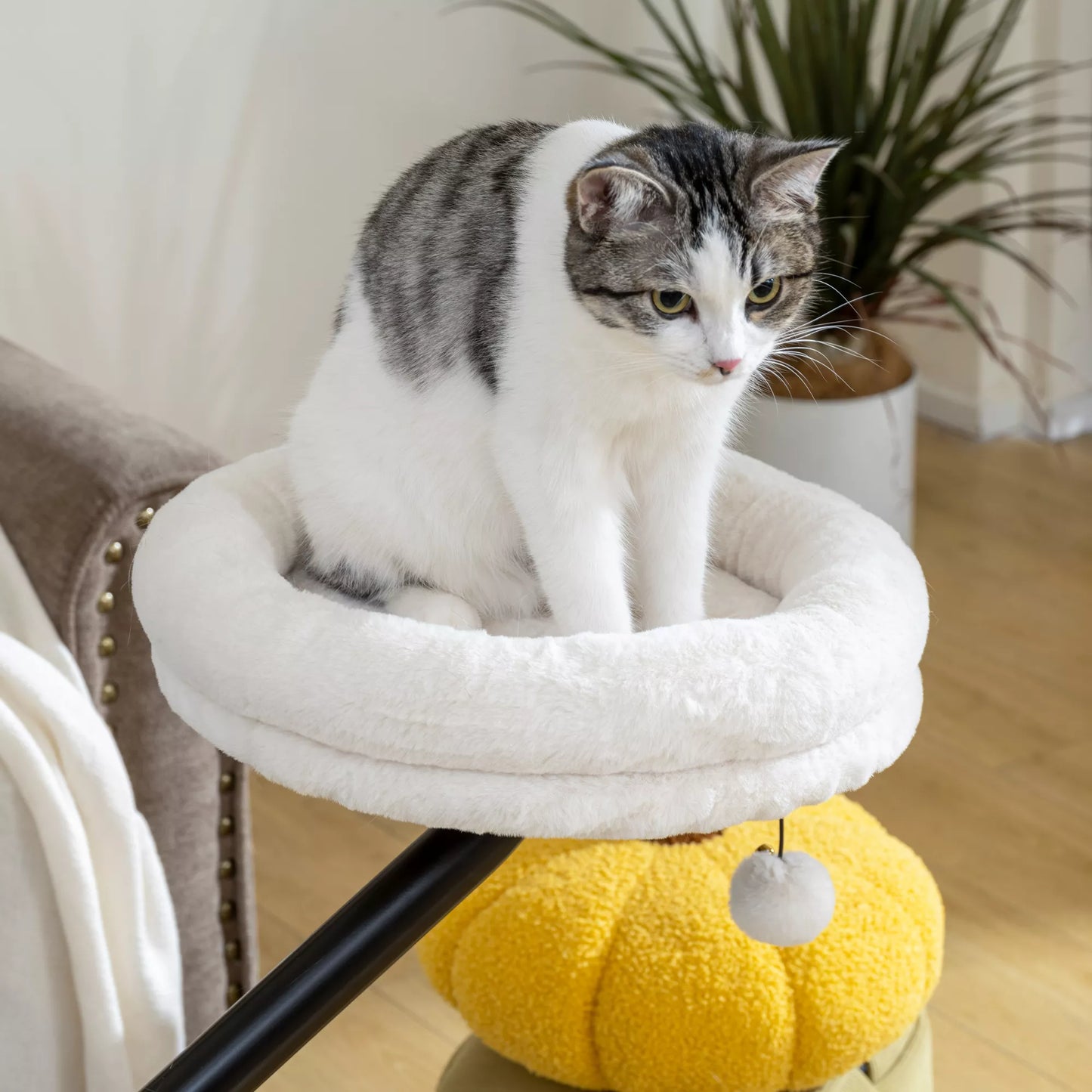 Katės lova prie rašomojo stalo, katės lova rašomajam stalui su 360° sukimusi, reguliuojamo aukščio, katės gultas su nuimamu, skalbiamu mašinoje guoliu, katėms iki 6 kg, namų biurui, kreminės baltos spalvos