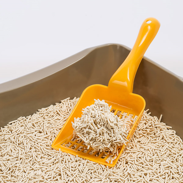 Expertus Tofu kraikas katėms, bekvapis, 6 l