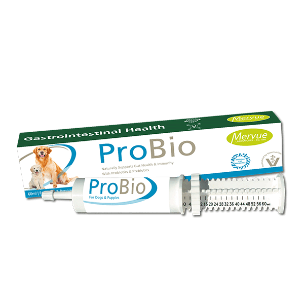 Mervue ProBio probiotinė pasta virškinimui šuniukams, 60 ml