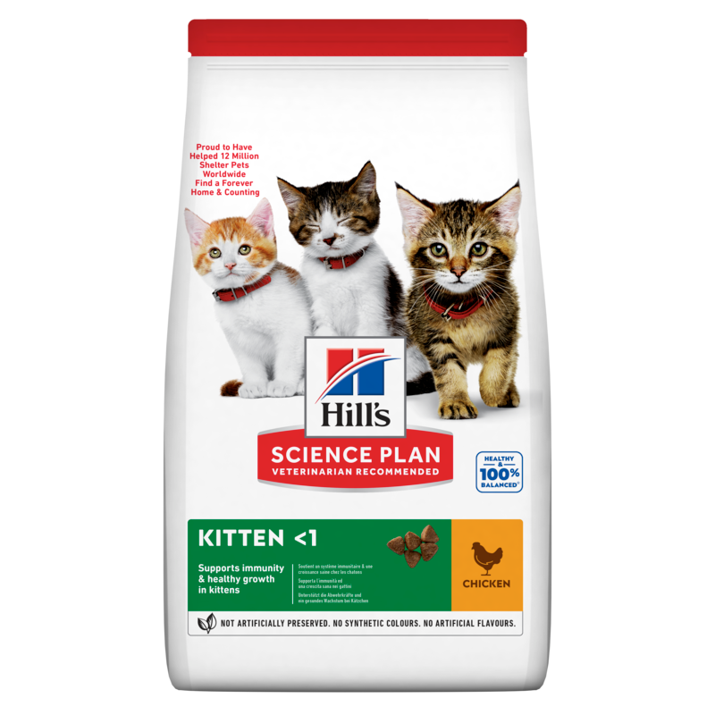 Hill's Science Plan Kitten Chicken sausas maistas su vištiena kačiukams