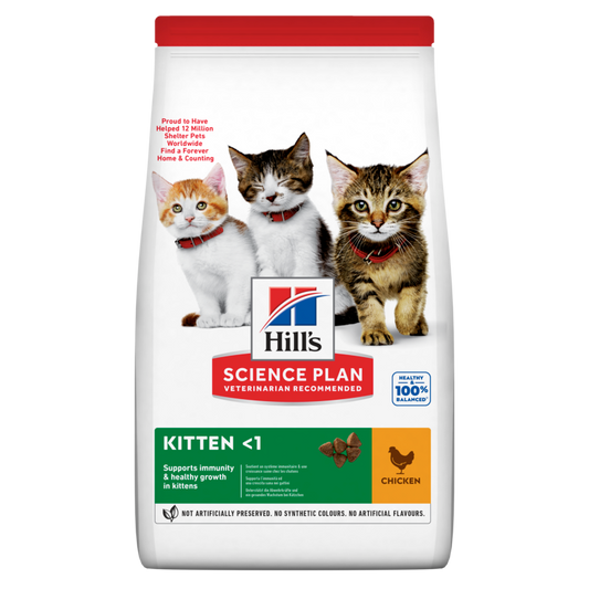 SP Kitten Chicken