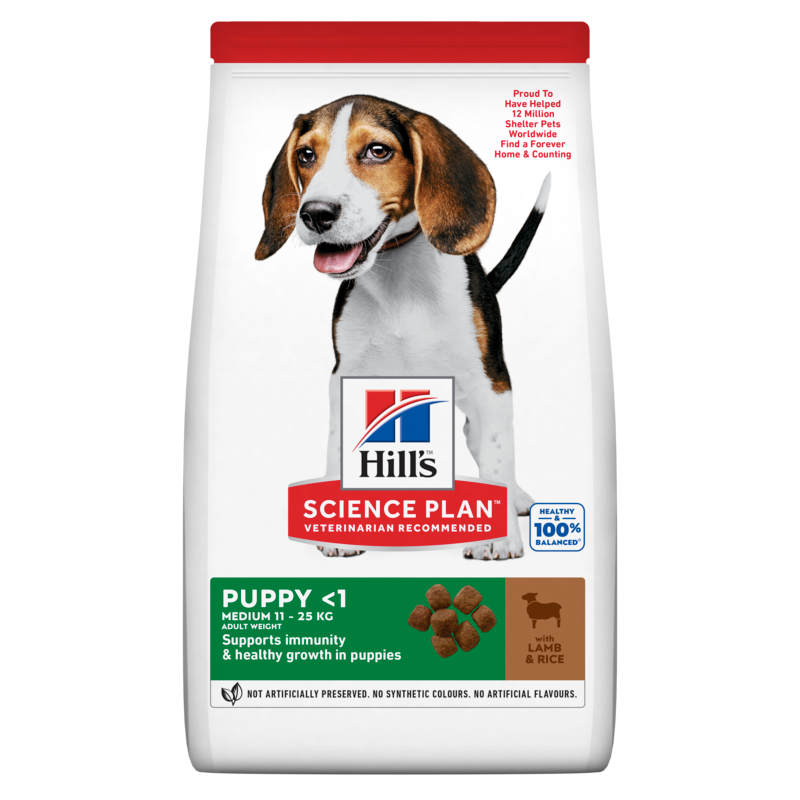 SP Canine Puppy Medium Lamb & Rice